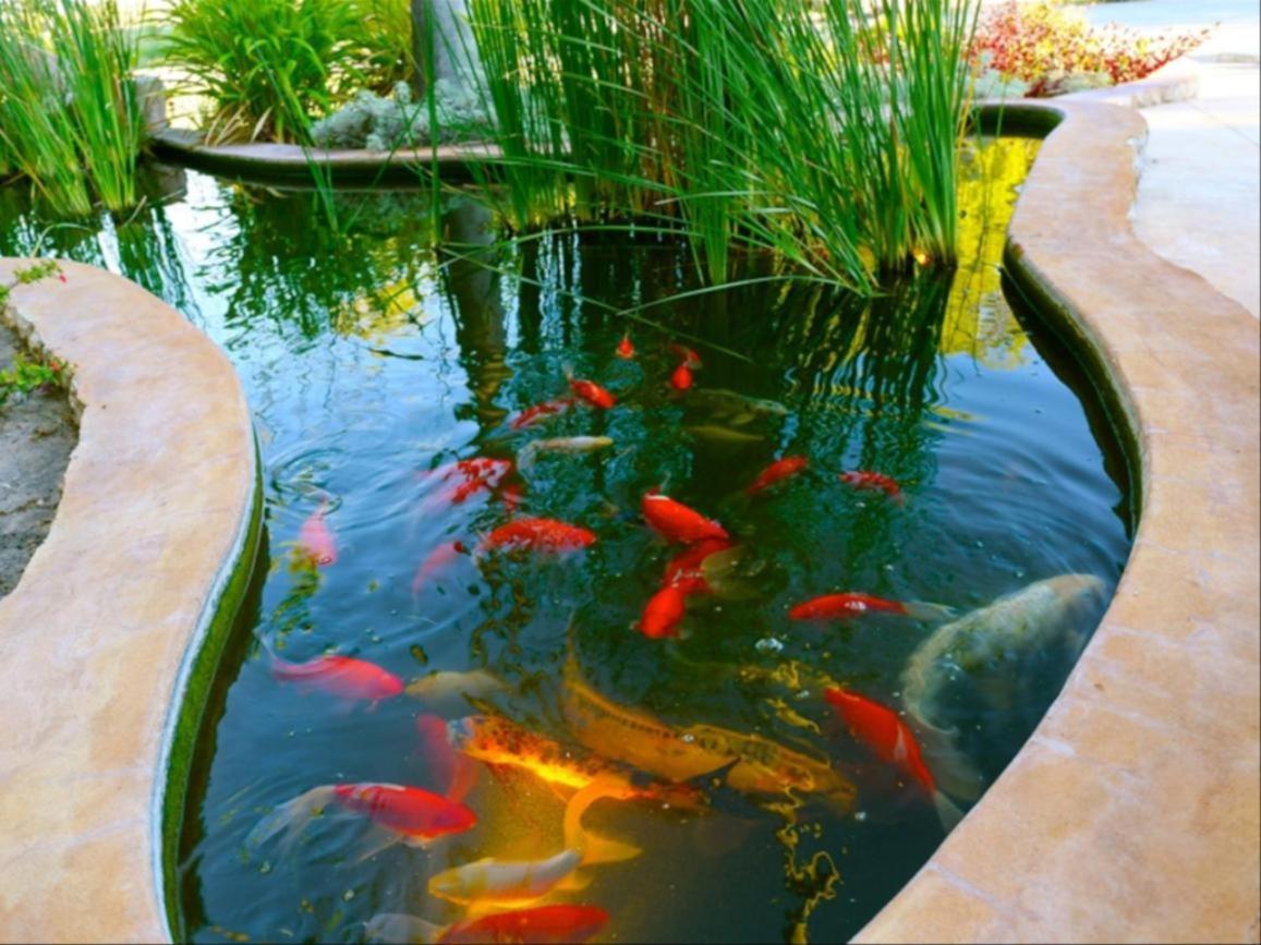La Rochelle Lodge Namibia ซูเมบ ภายนอก รูปภาพ
